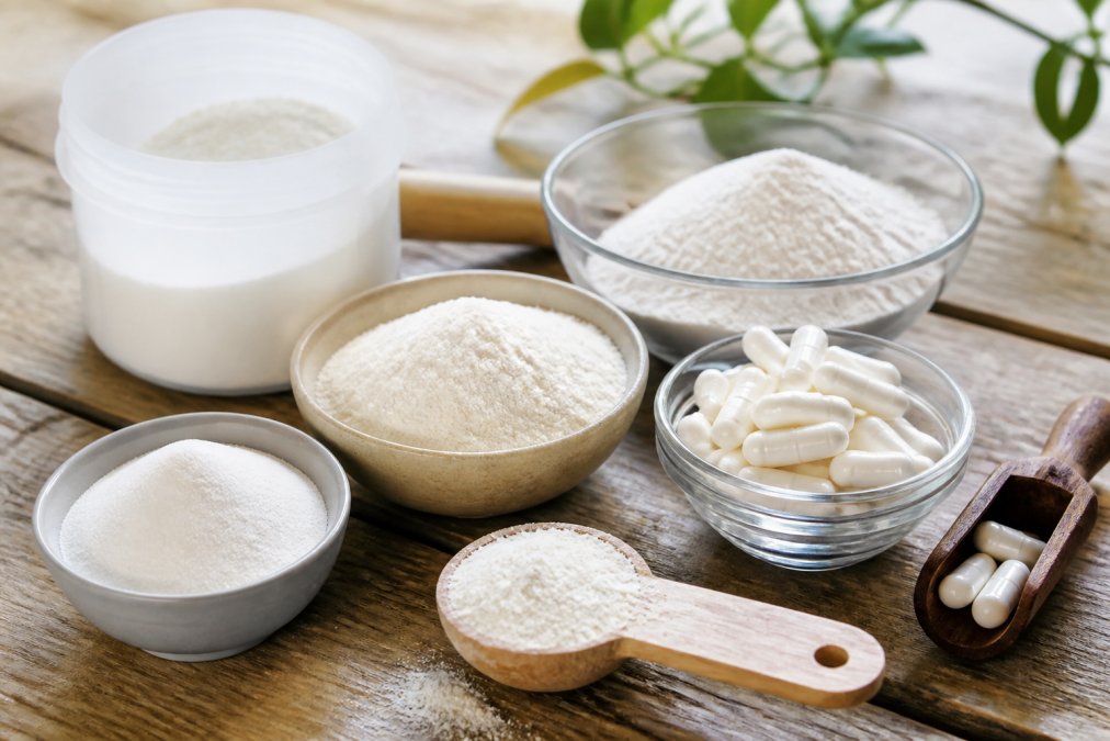 Best Immune Support Supplements 2026