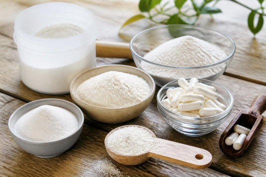 Best Immune Support Supplements 2026