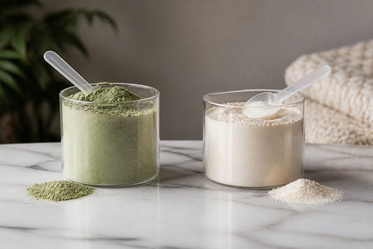 Bloom Nutrition vs Premium Collagen: 2026 Comparison