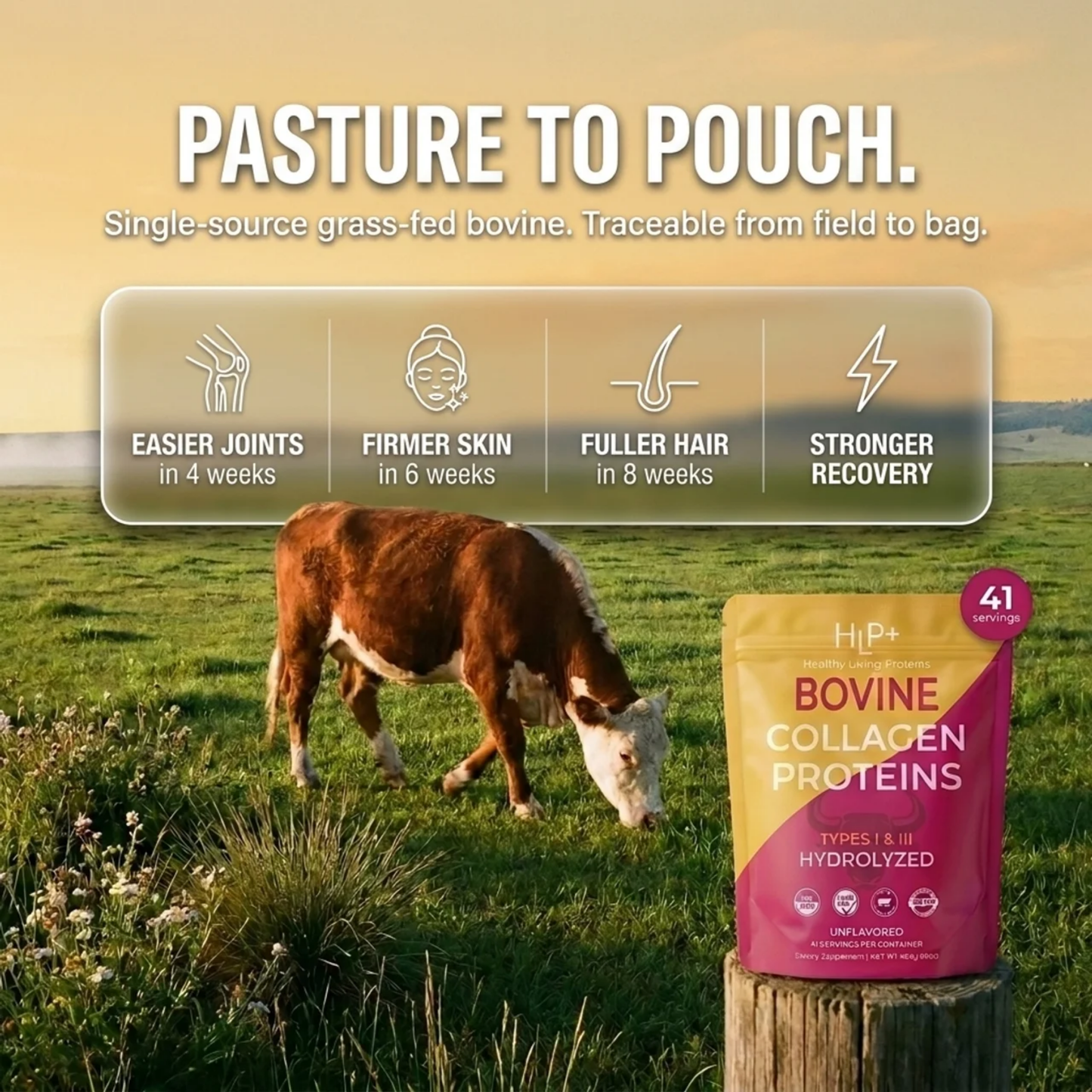Grass-Fed Bovine Collagen Peptides Unflavored