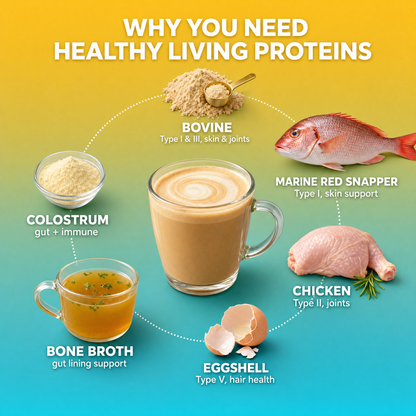 Multi Collagen Peptides & Colostrum