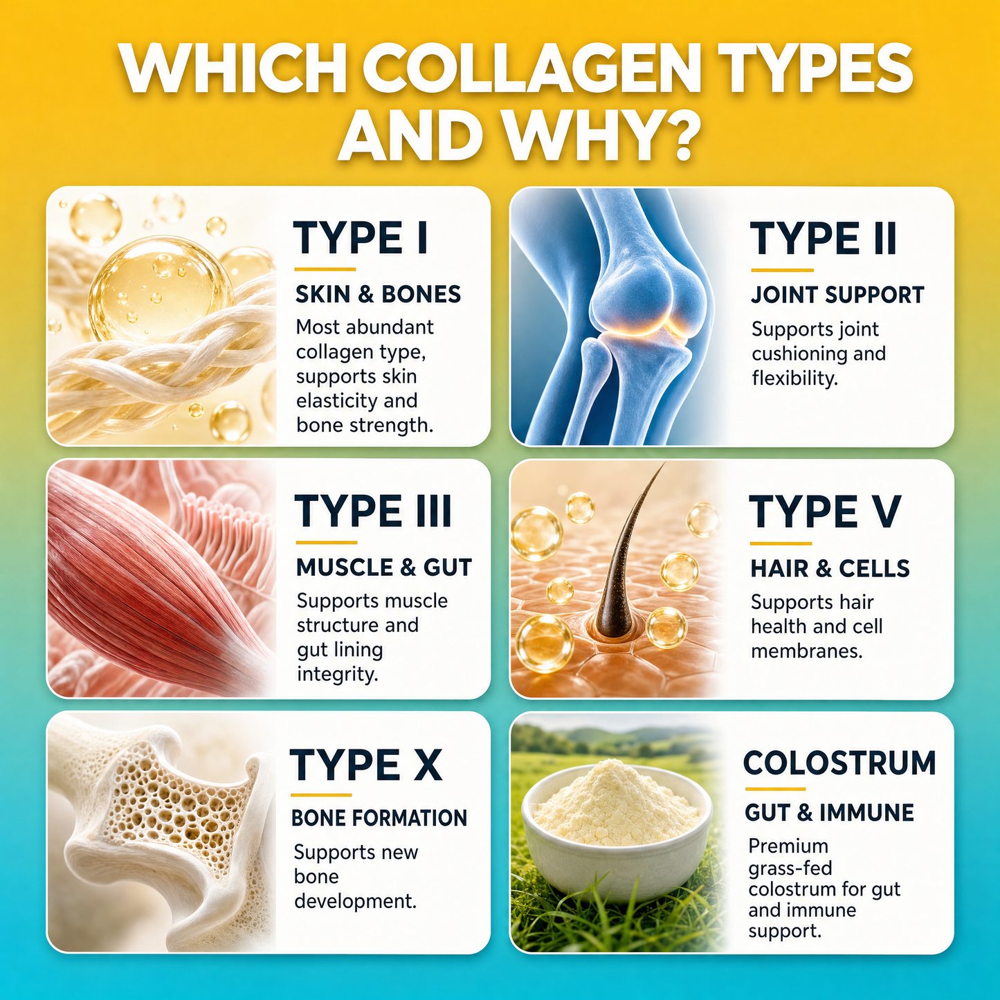 Multi Collagen Peptides & Colostrum