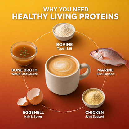 Multi Collagen Peptides Types (I, II, III, V, X)