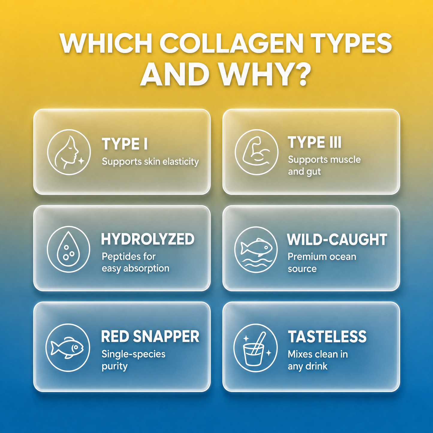 Wild-Caught Marine Collagen Peptides