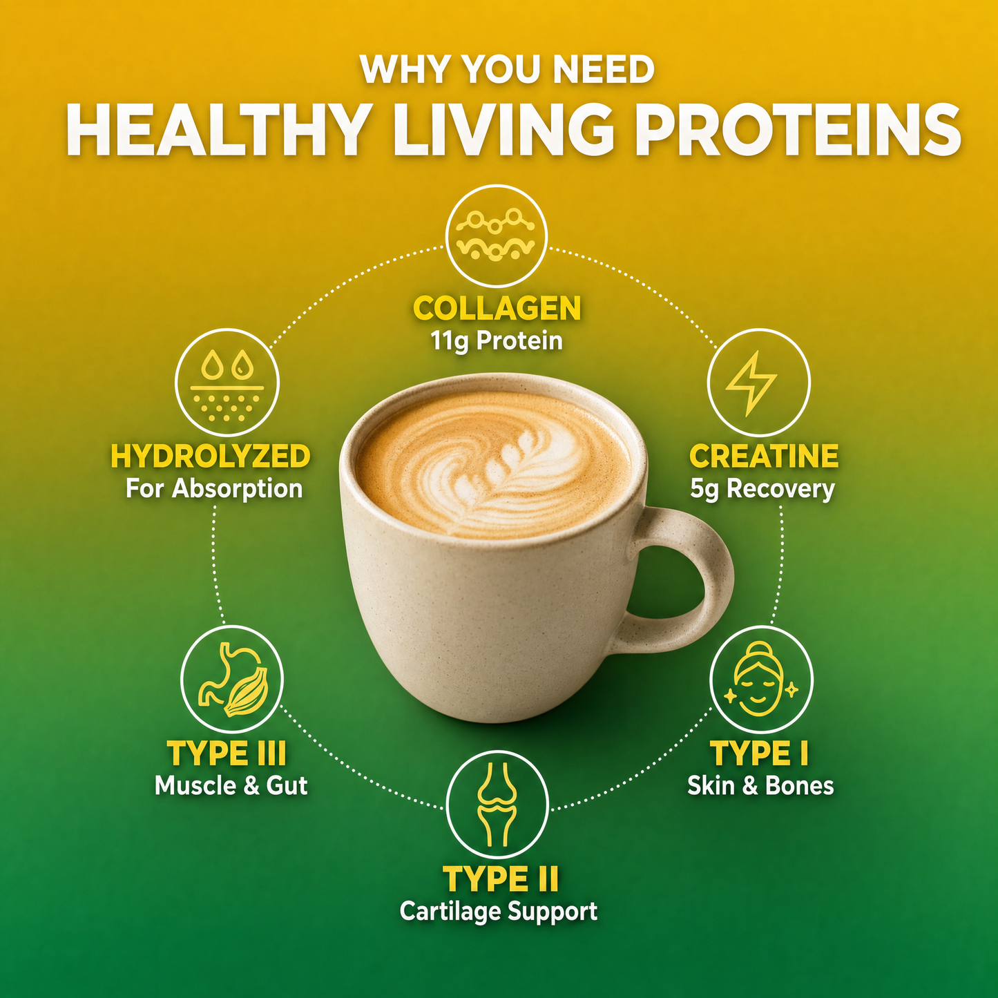 Multi Collagen Peptides & Creatine