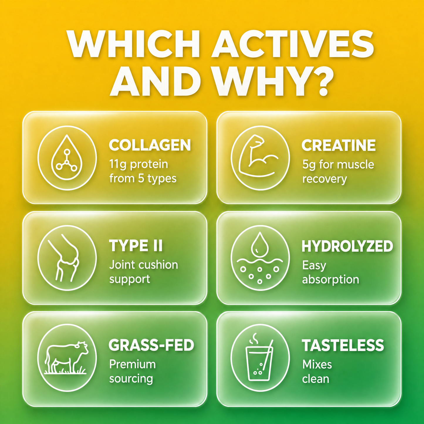 Multi Collagen Peptides & Creatine