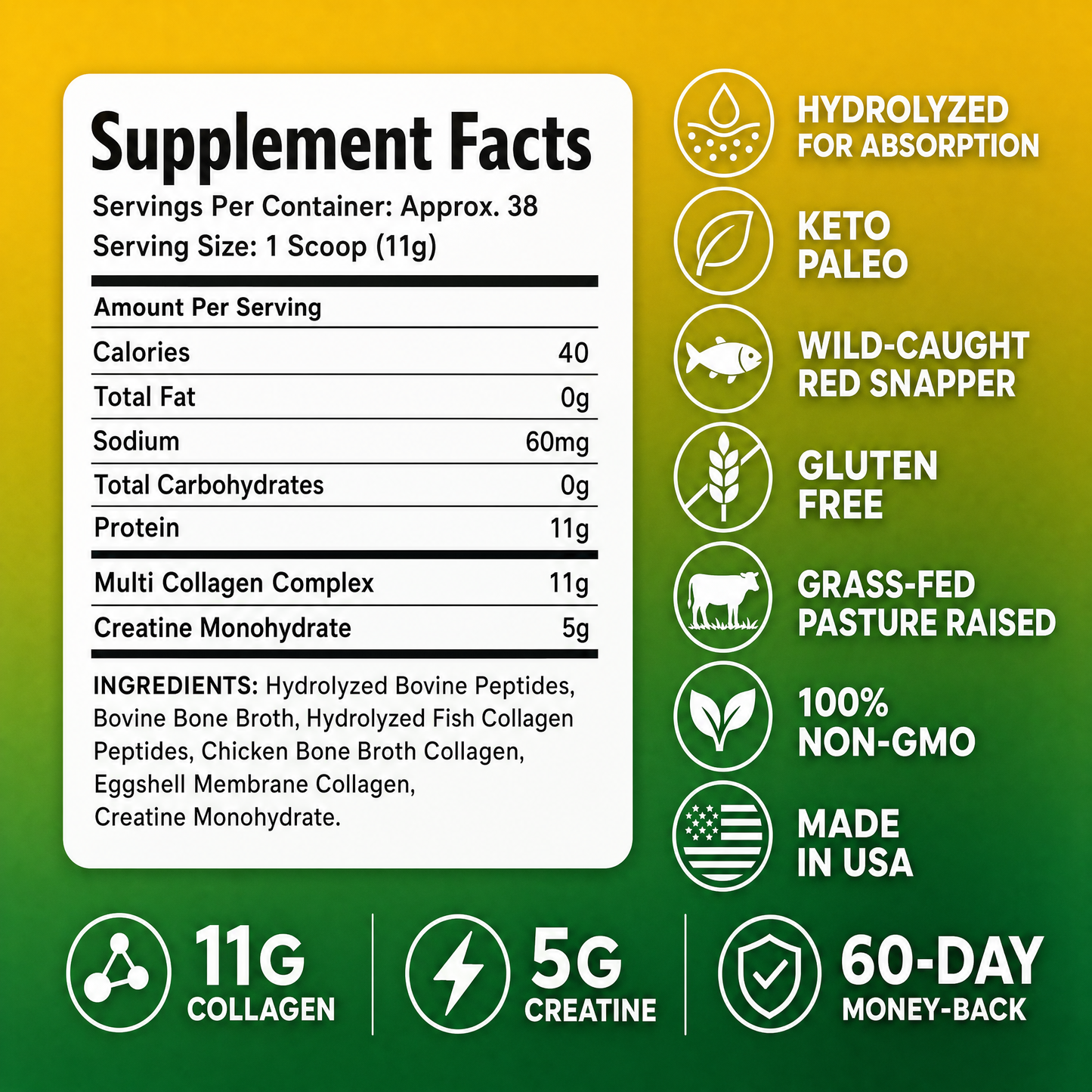 Multi Collagen Peptides & Creatine