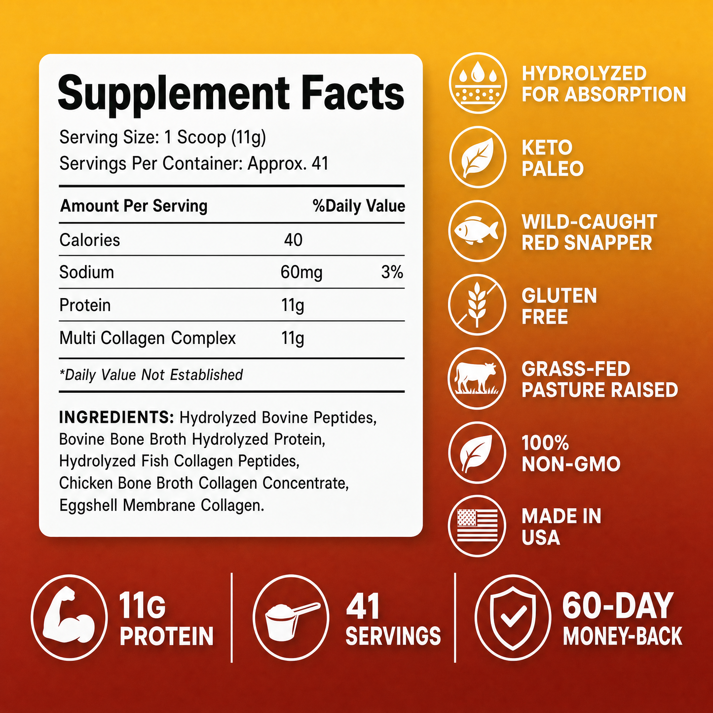 Multi Collagen Peptides Types (I, II, III, V, X)